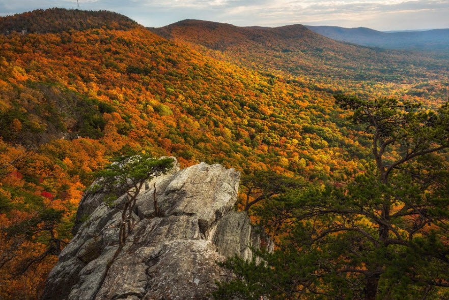 Cheaha Mountain, Alabama, USA